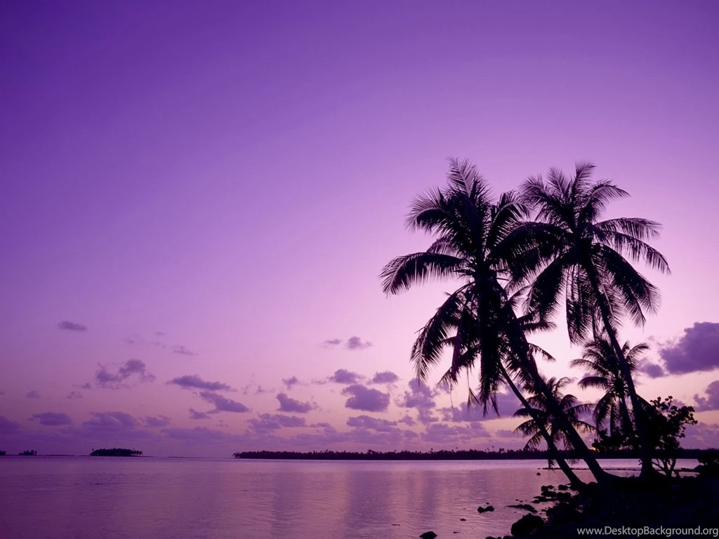 30 Purple Tree Wallpapers Pictures