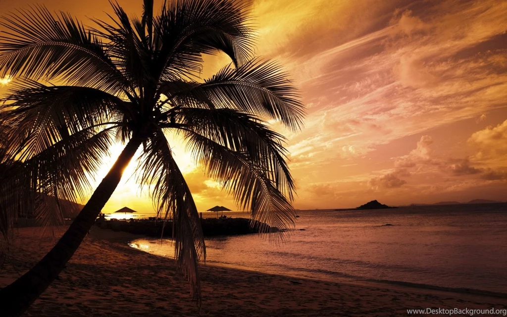 Beaches Backgrounds Wallpapers Cave