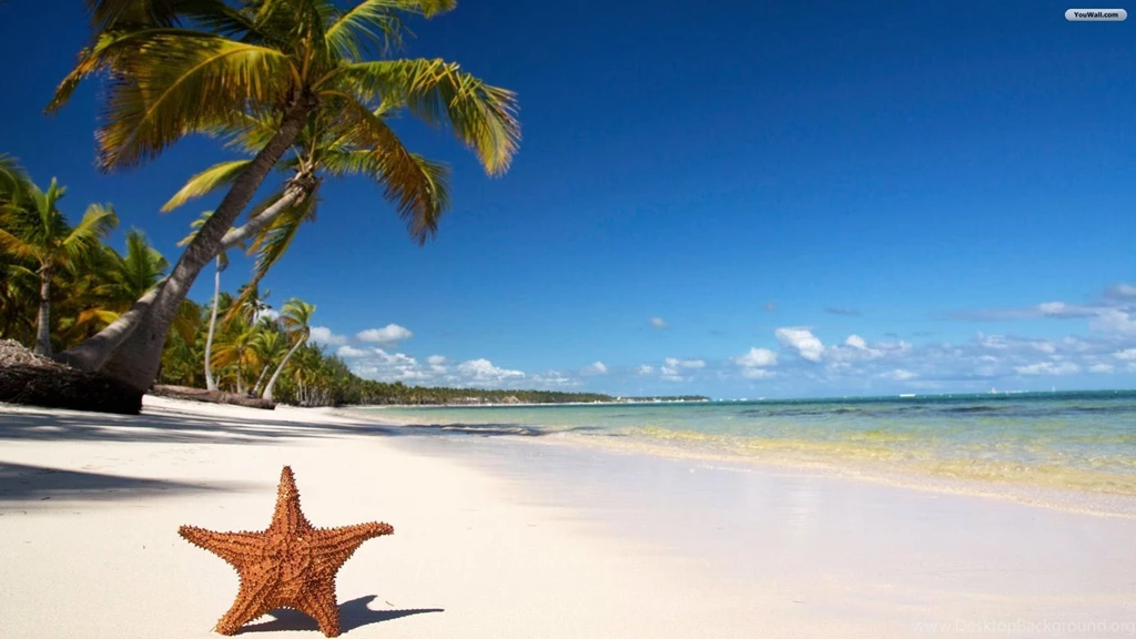 Beaches Wallpapers For PC 12779 HD Wallpapers Site