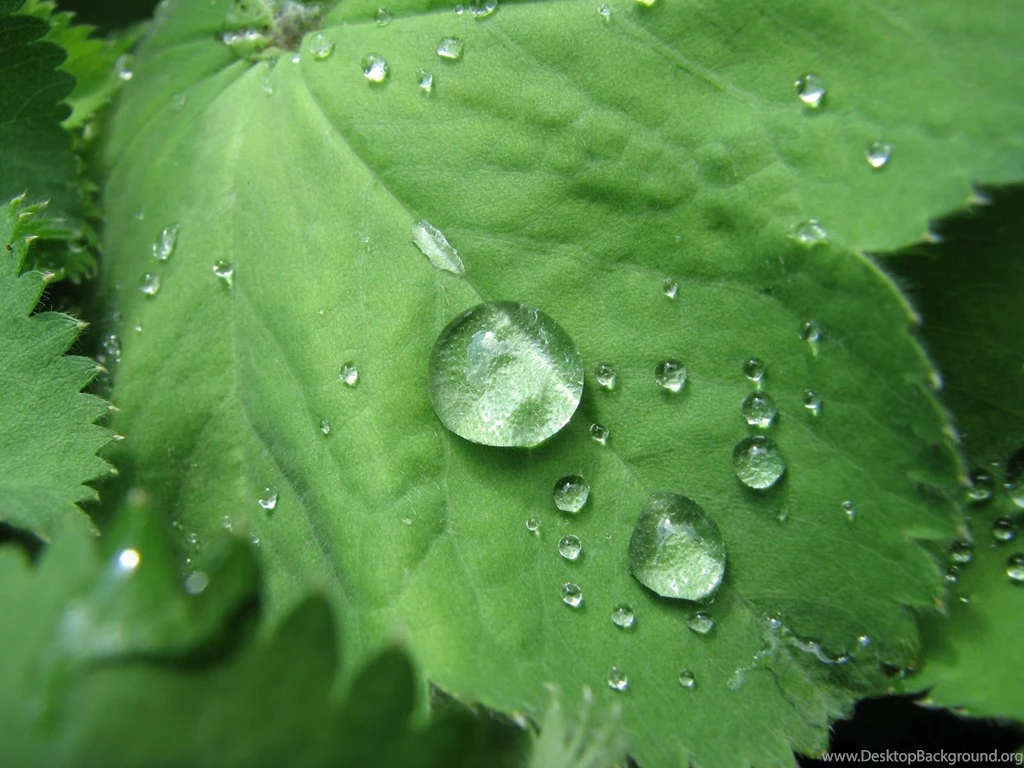 HD Wallpapers Free Download