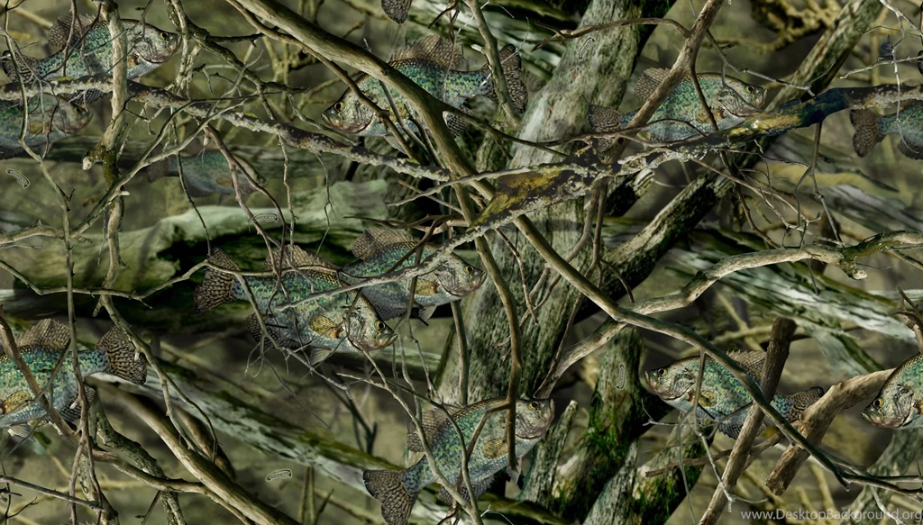 Awesome Camo For The Fishhead!!!!