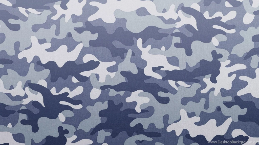 Gray Camouflage Pattern   1282538