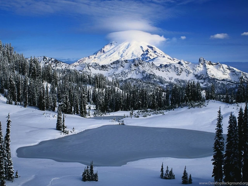 Winter On Pinterest