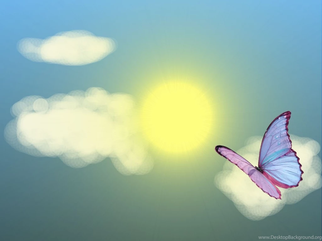 Free Animated Season Wallpapers Butterfly In Summer Photos Of Grab ...