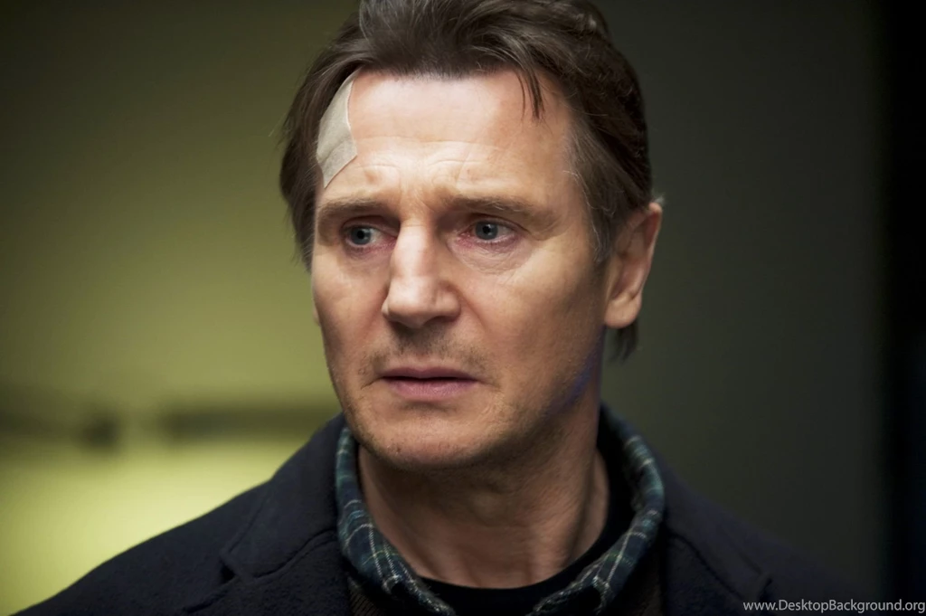 Liam Neeson Irish Actor 2048x1536px