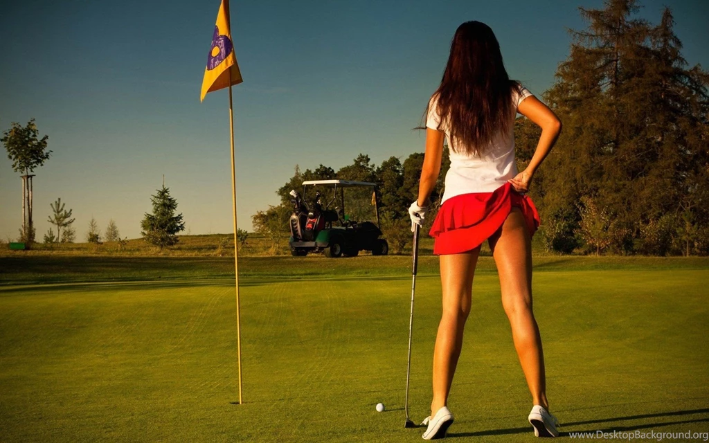 FIELD Green Grass Brown SKIRT SHIRTS SPORTS ELECTRIC Hockey Sticks ...