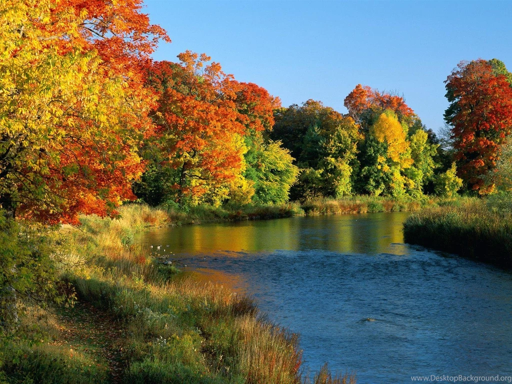 Pond In Autumn Landscape Free Desktop Backgrounds Free Wallpapers ...