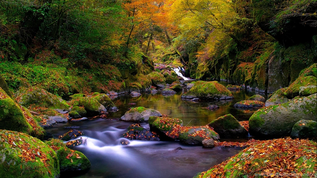 A beautiful autumn landscape in the forest 5120x2880.jpg