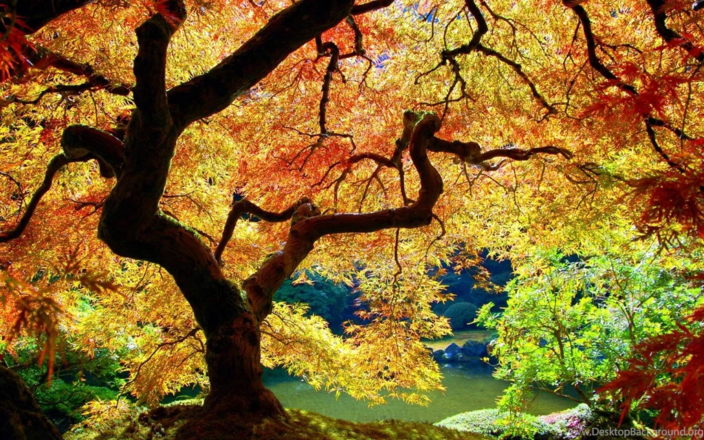 Autumn Landscape Wallpapers