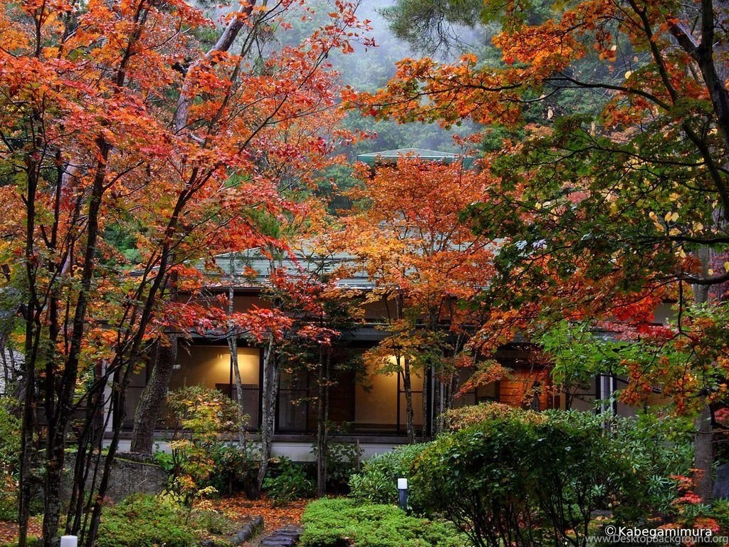 Japan Autumn Desktop Wallpapers