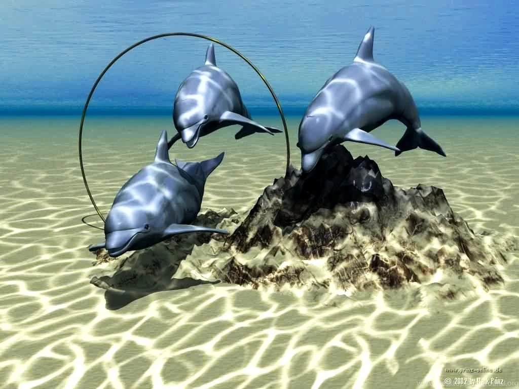 Free Living 3D Dolphins Wallpapers Dolphins Wallpapers Photos Of ...