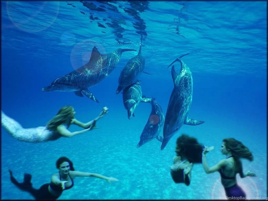 1024x768 Dolphins And Mermaid Free HD Widescre