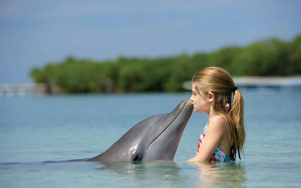 Picture Of Dolphin Kissing Little Girl