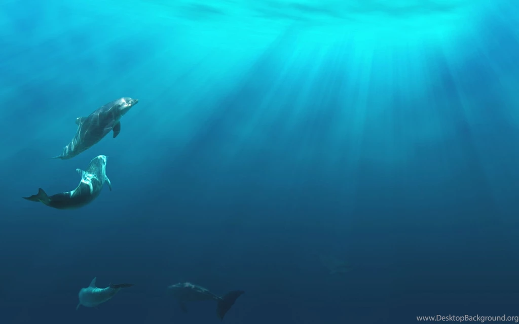 Dolphins Underwater Wallpapers 151957