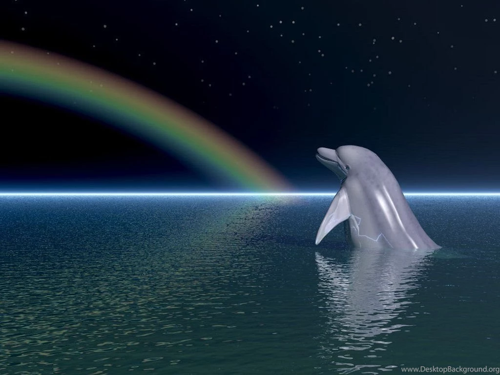 Dolphins 014.jpg