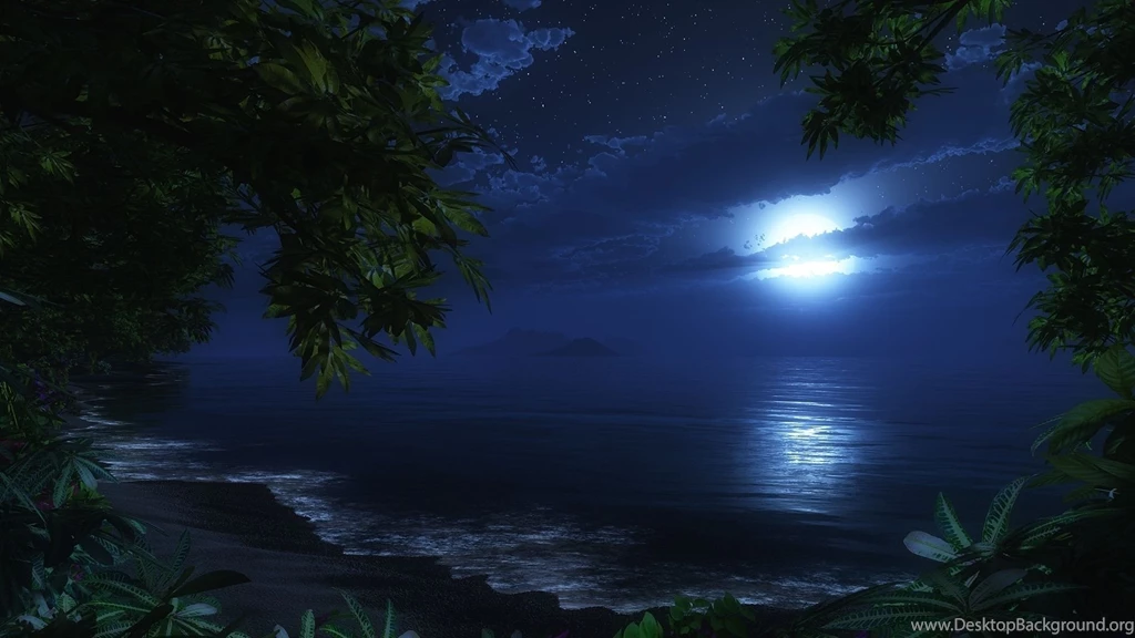 Cg Digital Art Nature Ocean Beaches Waves Sky Night Trees Tropical ...