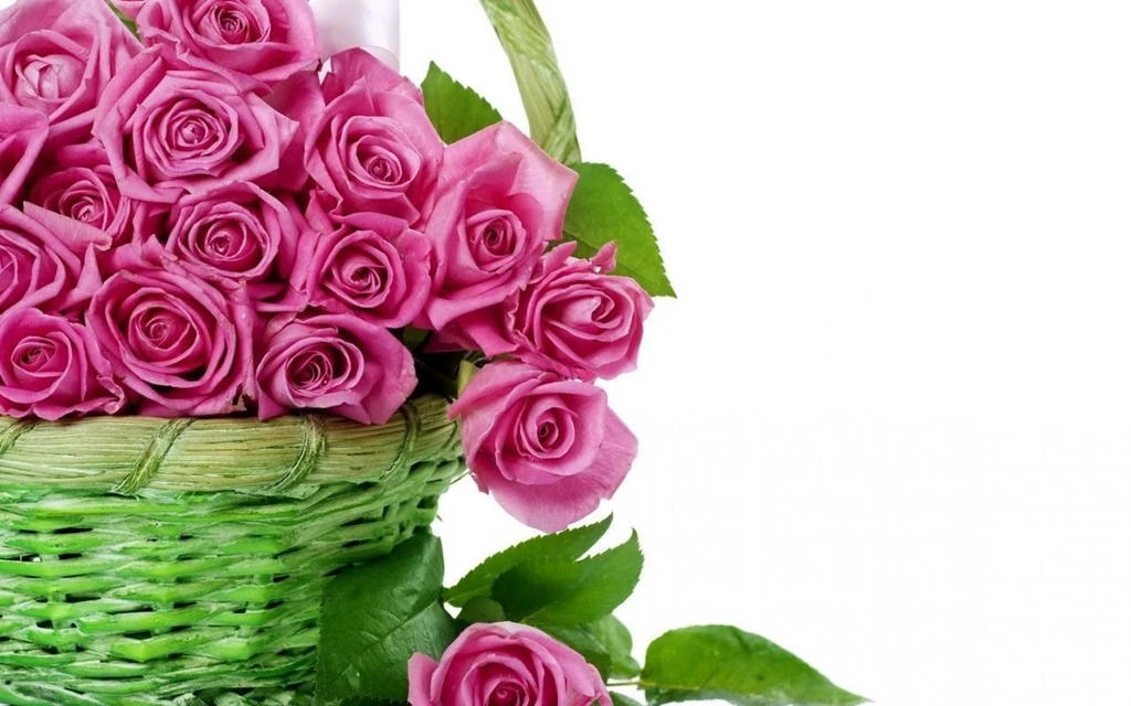 Flower Wallpapers For Computer Wallpapers High Definition