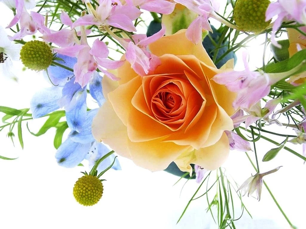 Get Free Flower Wallpapers For Desktop: Beautiful By Free Download ...