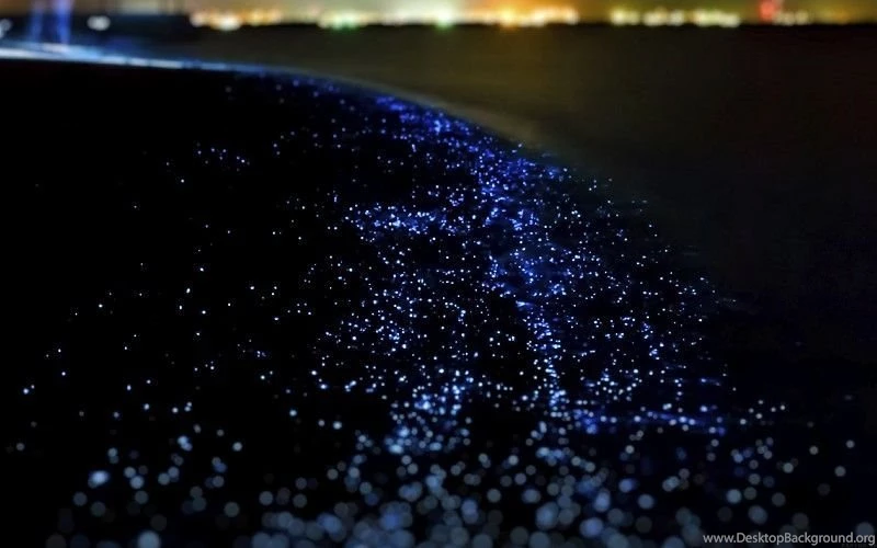 Dark Ocean Wave At Night Light Blink Wallpapers Free Desktop ...