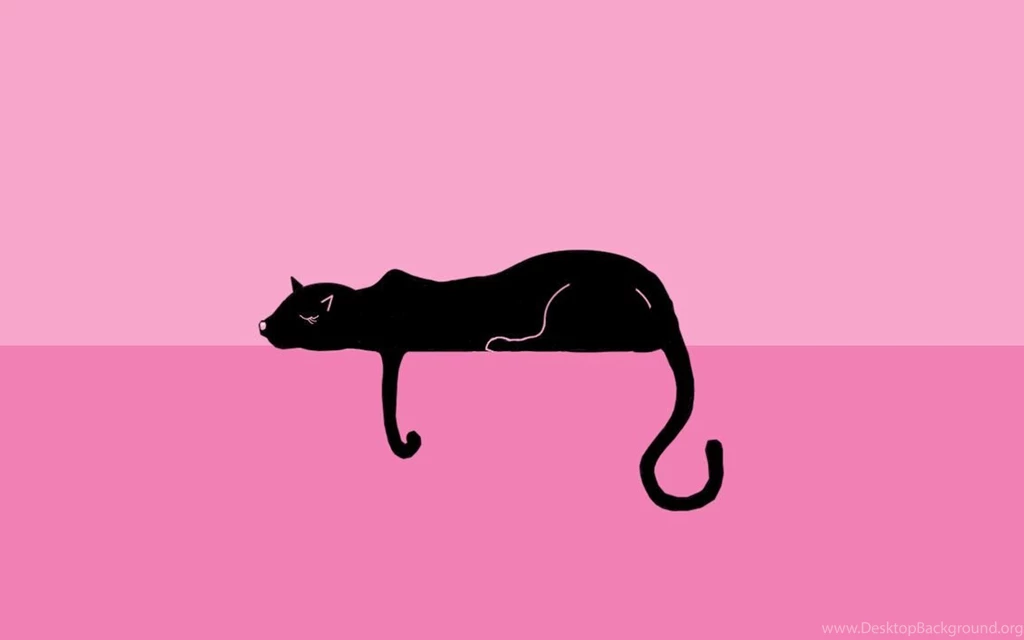 Cat Wallpapers By Selphieffviii42 On DeviantArt