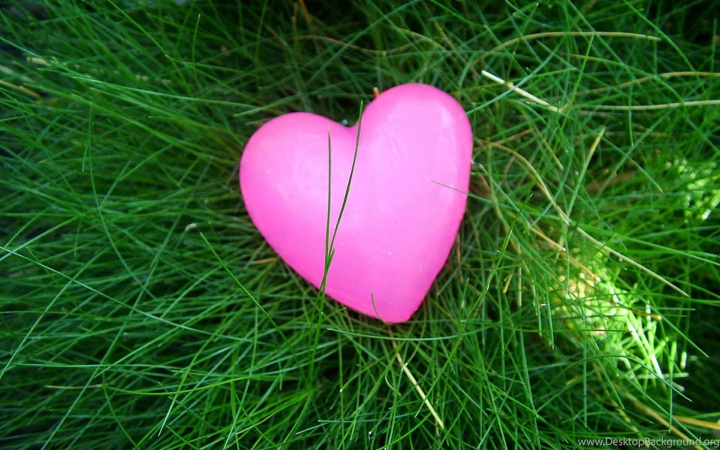 Pink Heart Wallpapers And Photos For Desktop