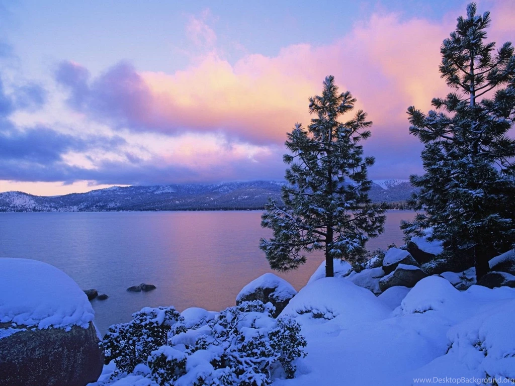 Winter
