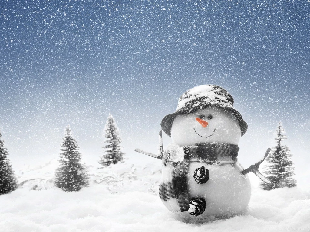 Funny Winter Wallpapers Wallpapers Cave