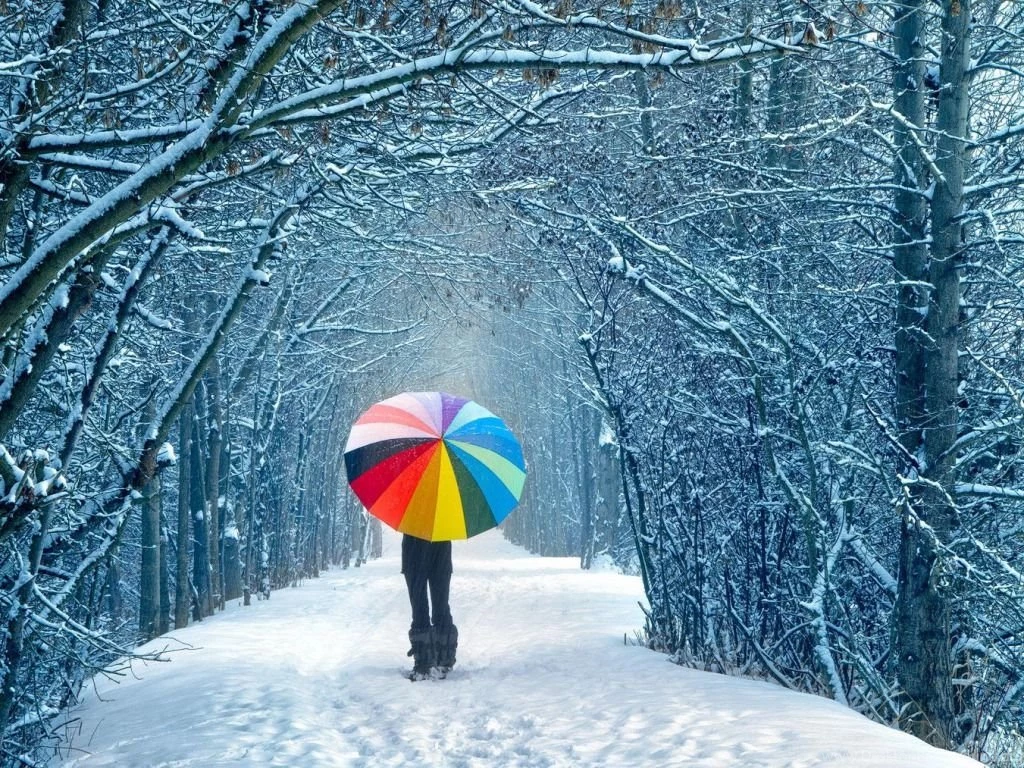 Winter Wallpapers 406 HD Wallpapers