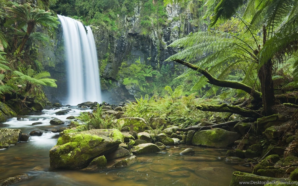 Forest Waterfall Desktop Backgrounds Wallpapers