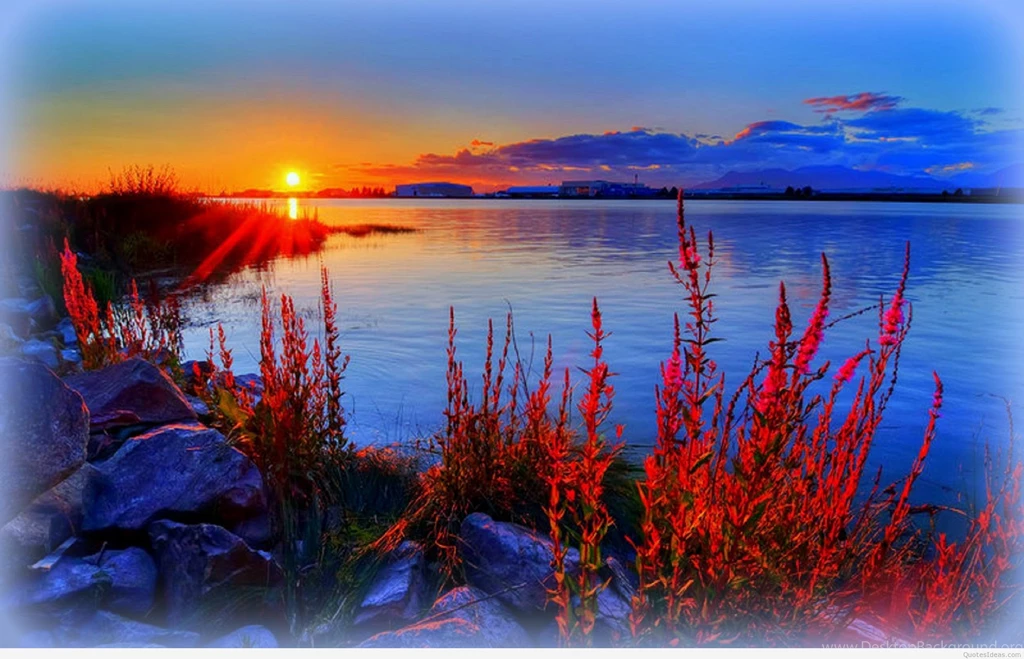 Awesome Summer Wallpapers
