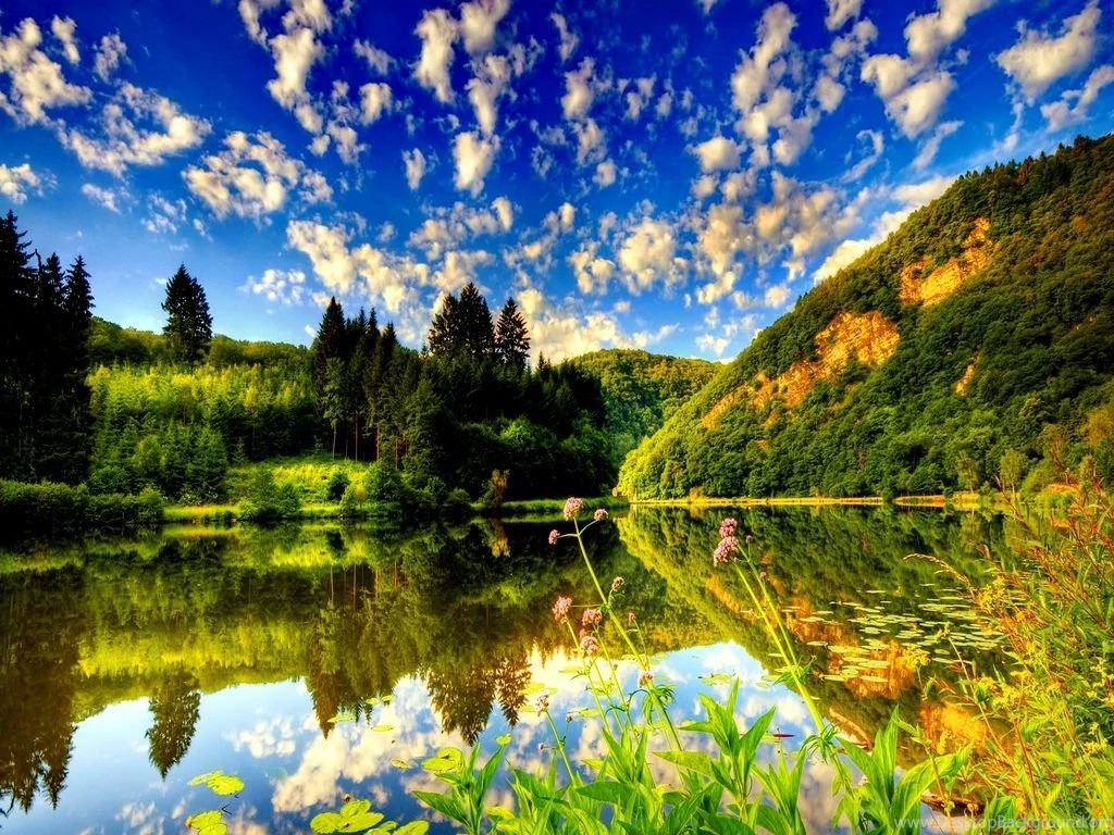 Summer Nature Hd Background 9 HD Wallpapers.jpg