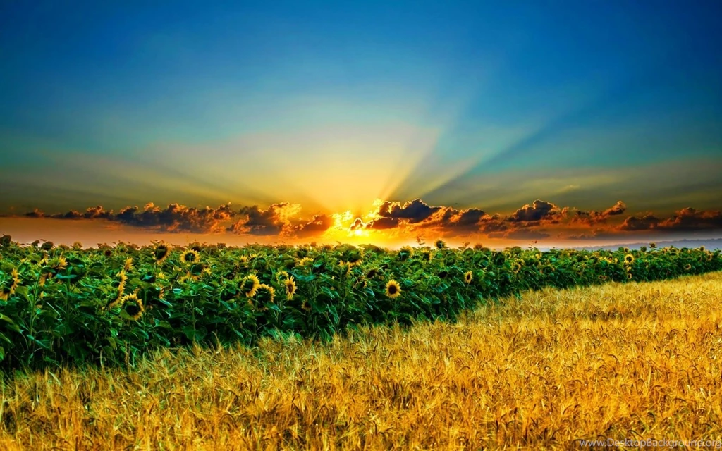 Beautiful Free Wallpapers For Your Desktop