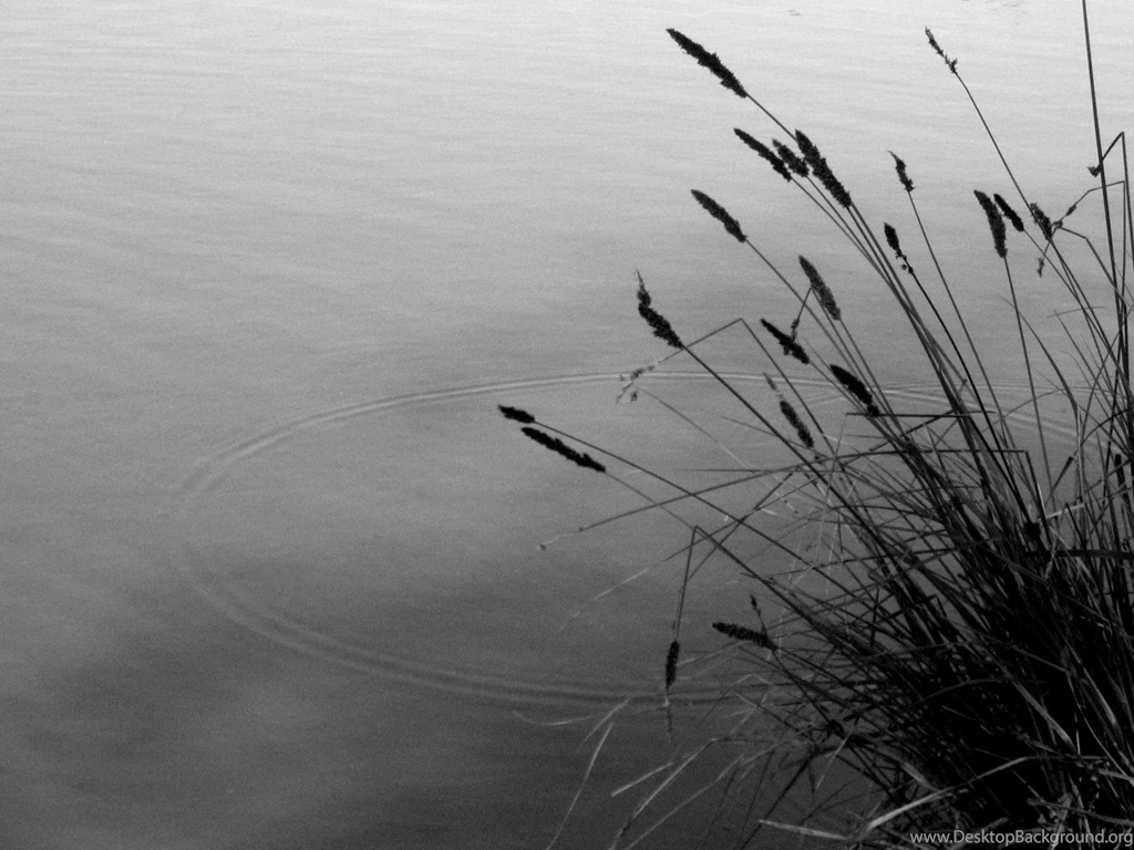 A Perfect Circle By Zebra method On DeviantArt