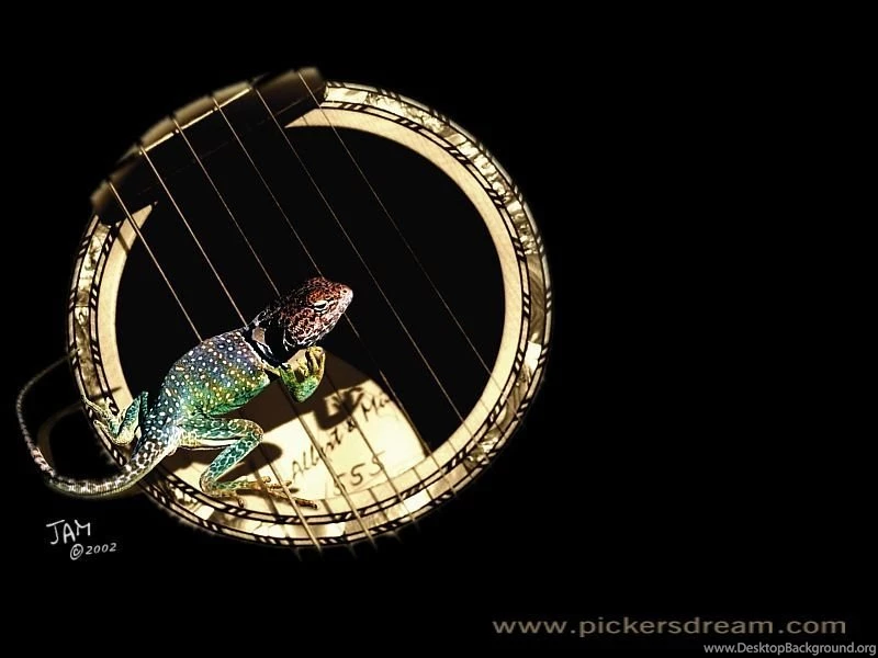 Free Guitar Wallpapers & Mandolin Wallpapers  Infos   Links ...