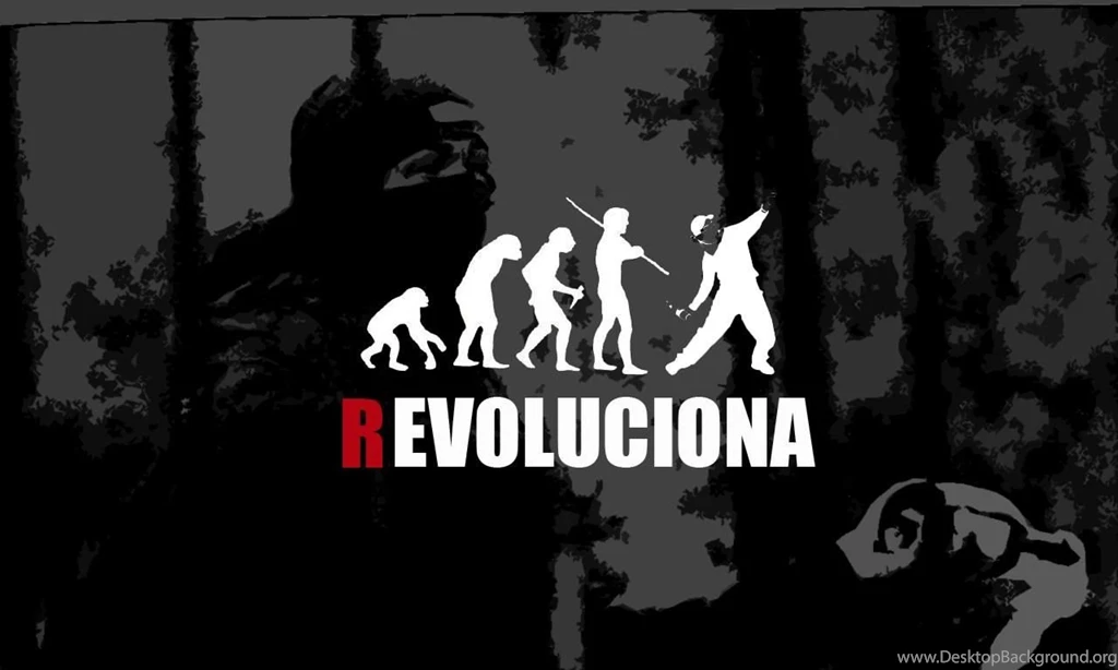 REVOLUTION / 画像一覧 MusicHubz