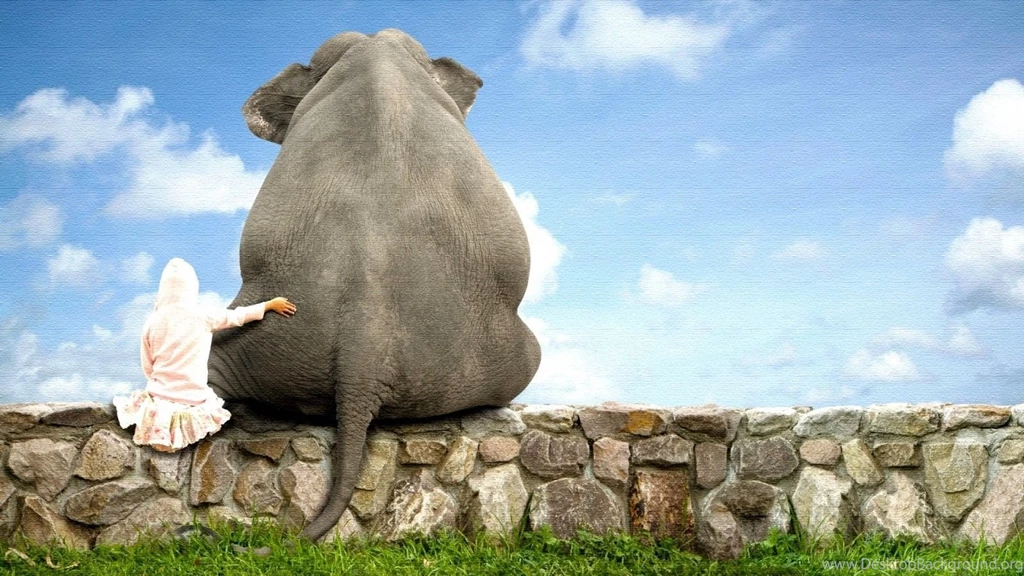 Elephant HD Desktop Wallpapers
