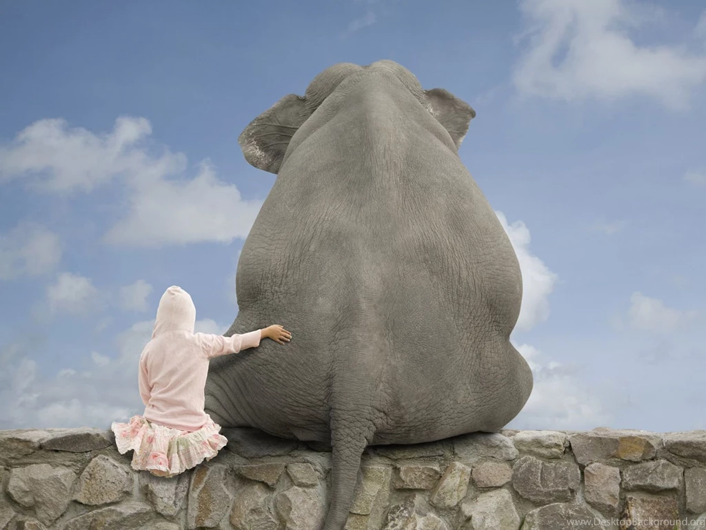 Elephant Wallpapers