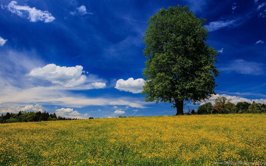 Real Outstation HD Wallpapers   Wallpapers