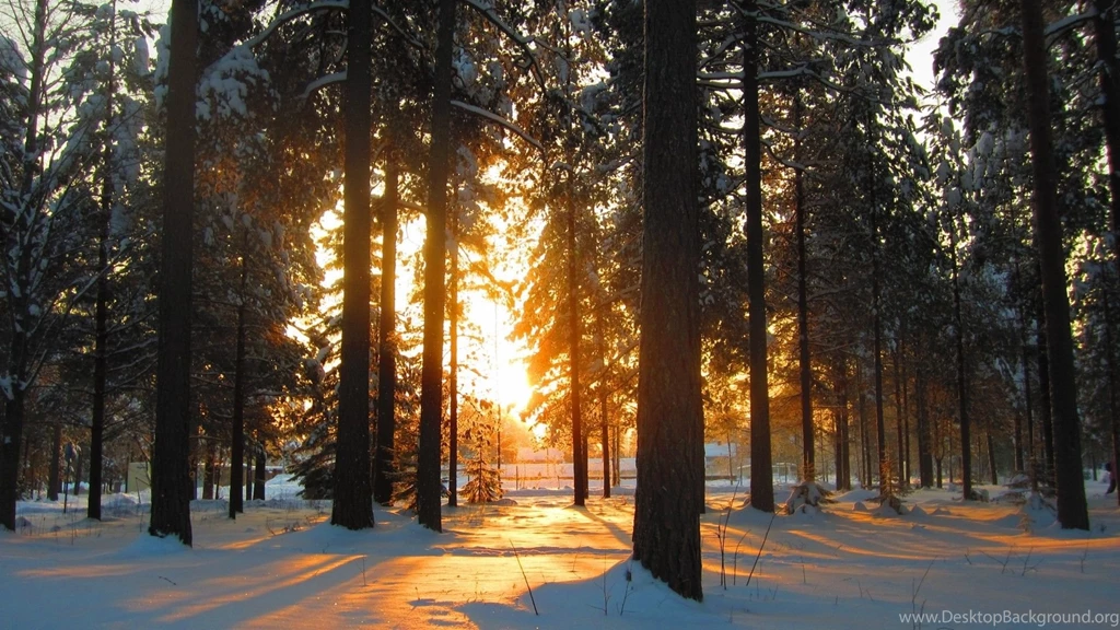 Snow Real Nature Backgrounds   Wallpapers