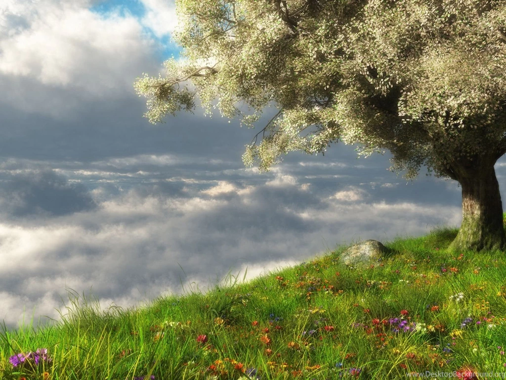 Pic New Posts: Real Hd Desktop Wallpapers