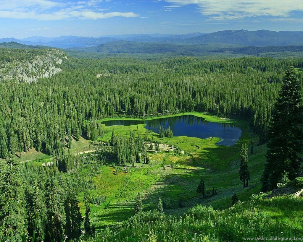 Free Screensavers And Wallpapers   7Screensavers.com