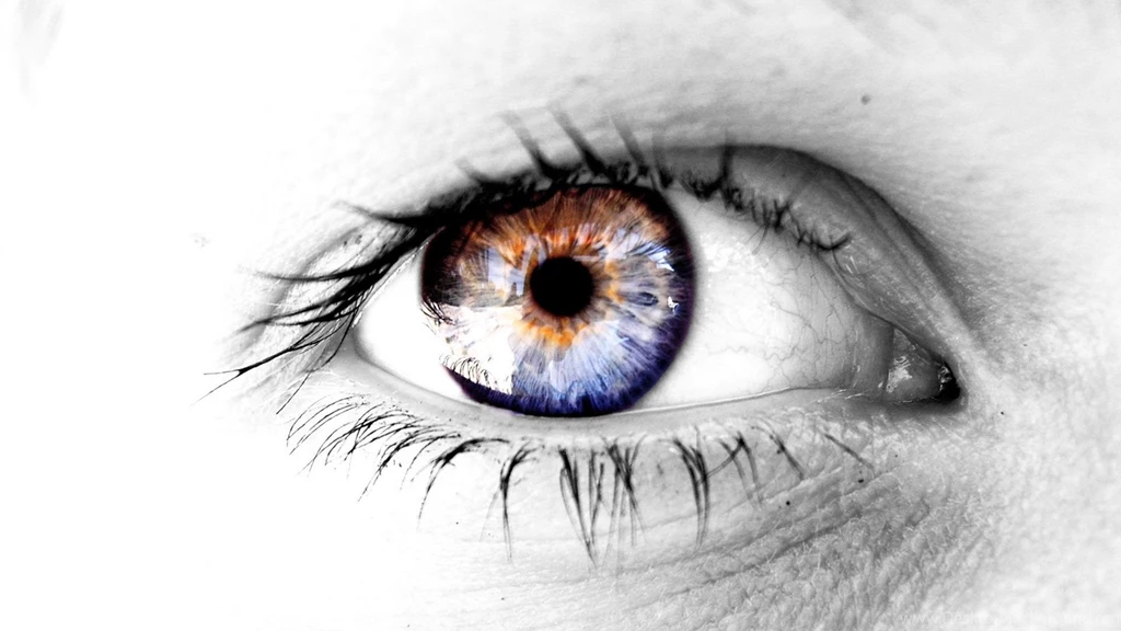 214 Eye HD Wallpapers