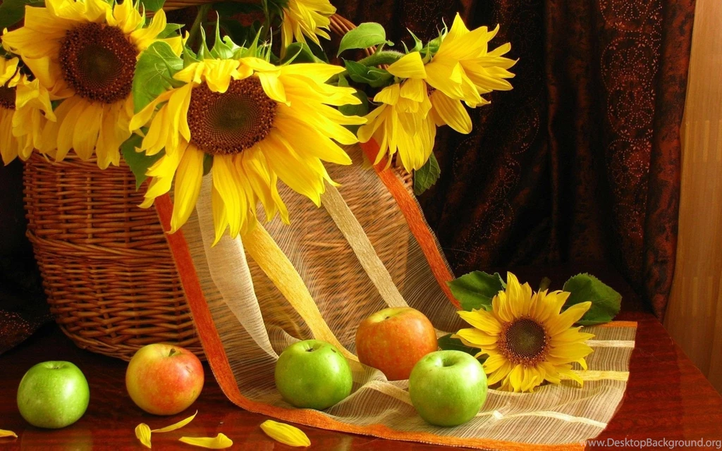Still Life Deedeeflower Wallpapers (19541774) Fanpop