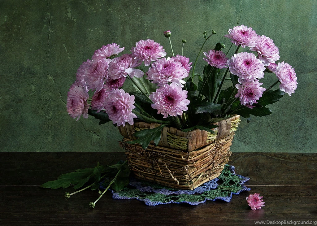 377 Still Life HD Wallpapers
