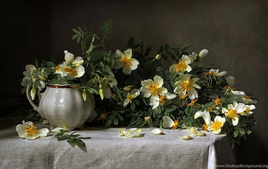 STILL LIFE WALLPAPER (