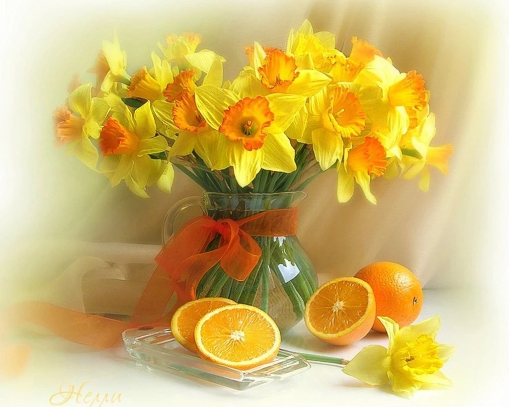 Still Life Deedeeflower Wallpapers (19541773) Fanpop