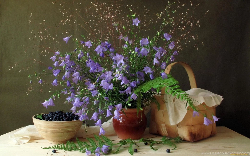 Still Life 11 purple >> HD Wallpaper, Get It Now!
