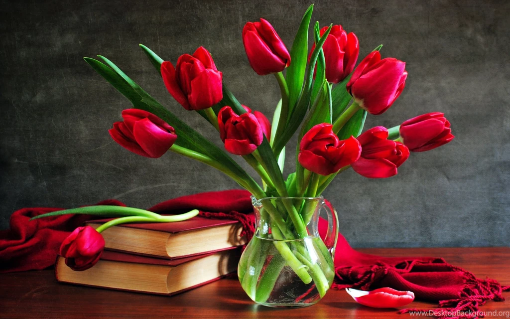 Tulip Bouquet Still Life Vase Book Wallpapers