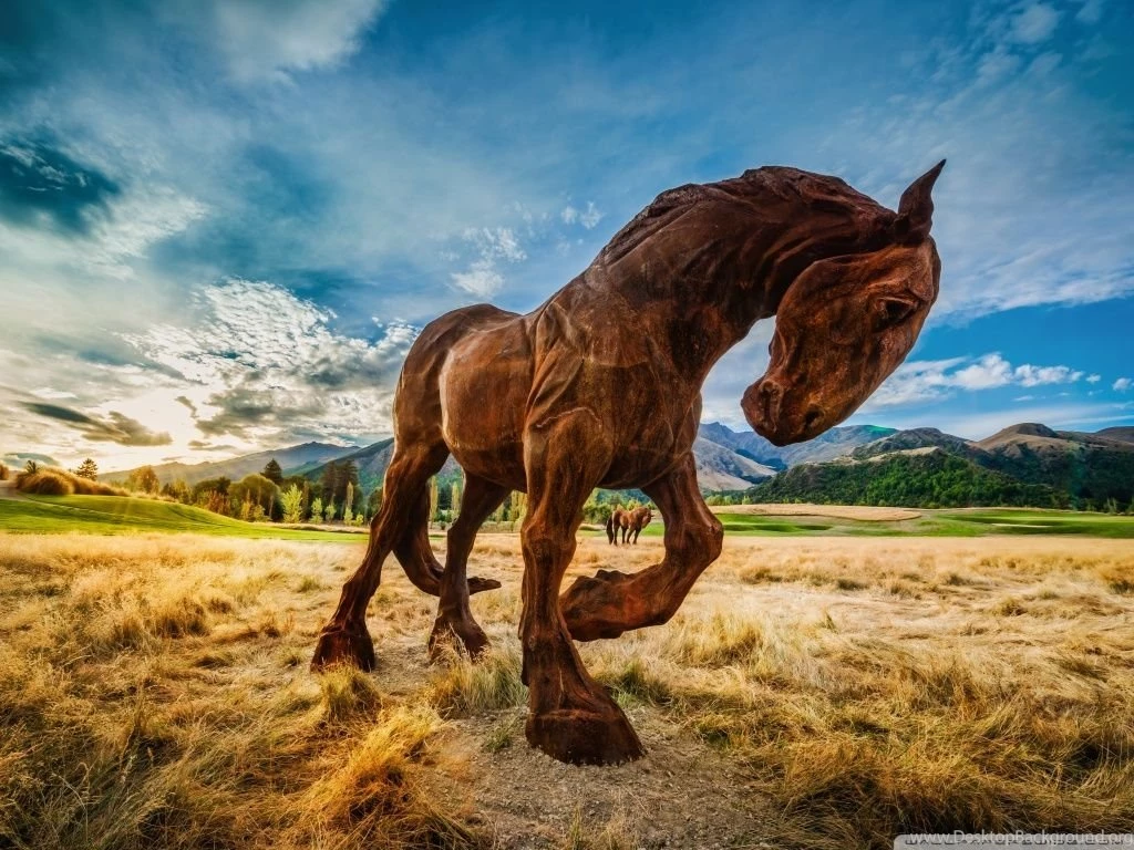 Wild Horse HD Desktop Wallpapers : Widescreen : High Definition ...