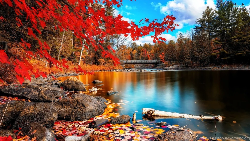 Autumn Hd Wallpapers ›› Page 0